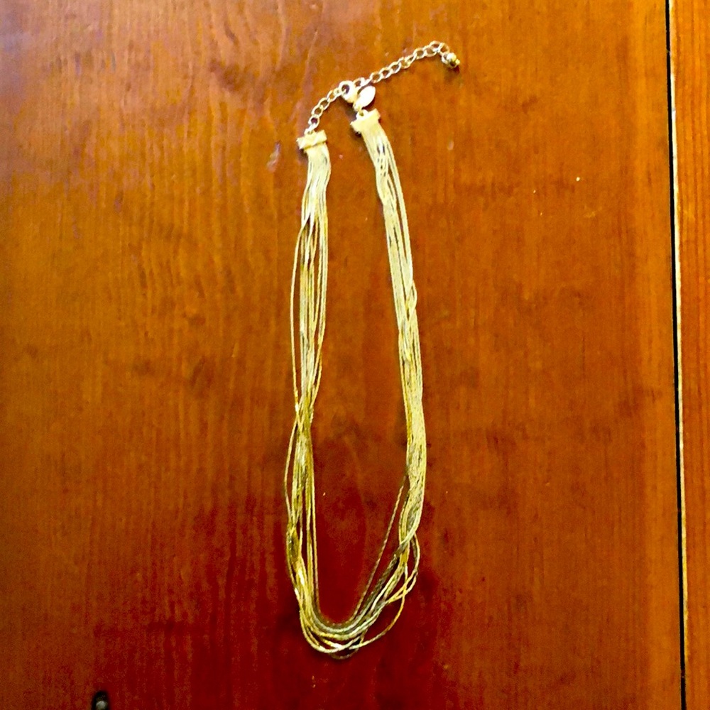 Express necklace